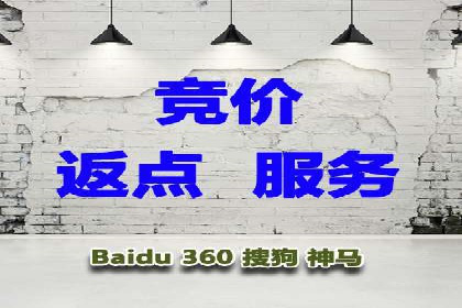SEM账户托管助力企业市场拓展案例